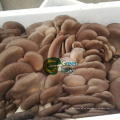 Grado un Big Frozen Fresh Baby Oyster Mushroom